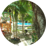 early bird discount, Fr�hbucher Rabatt
